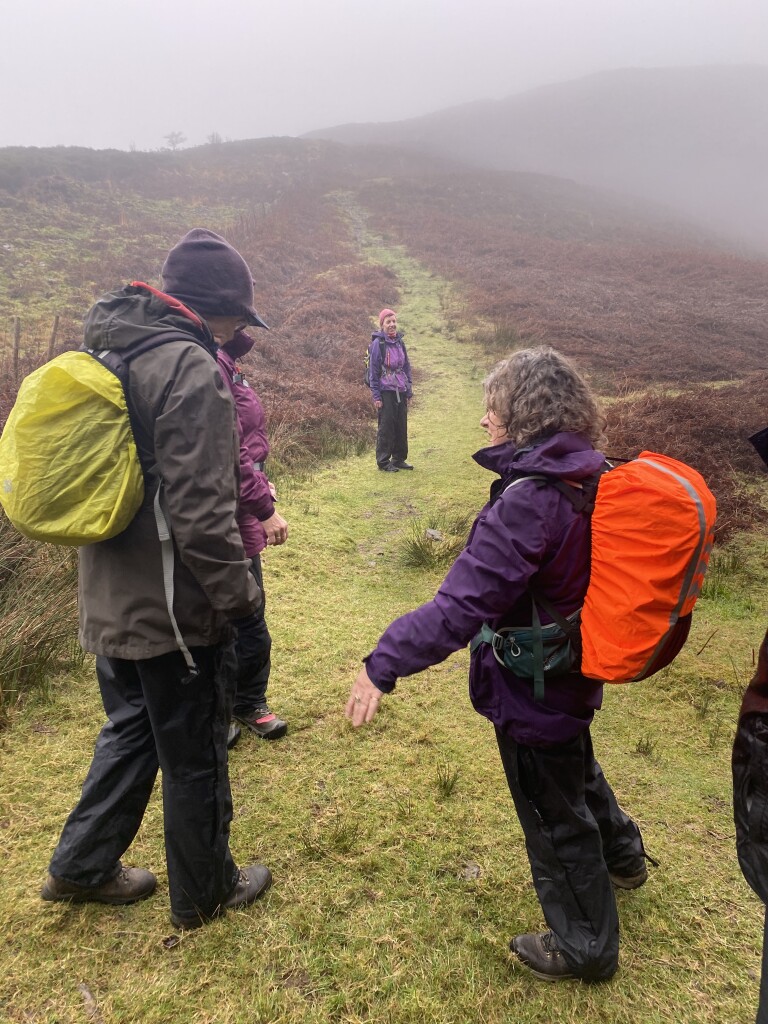 Mallow Walking Club 